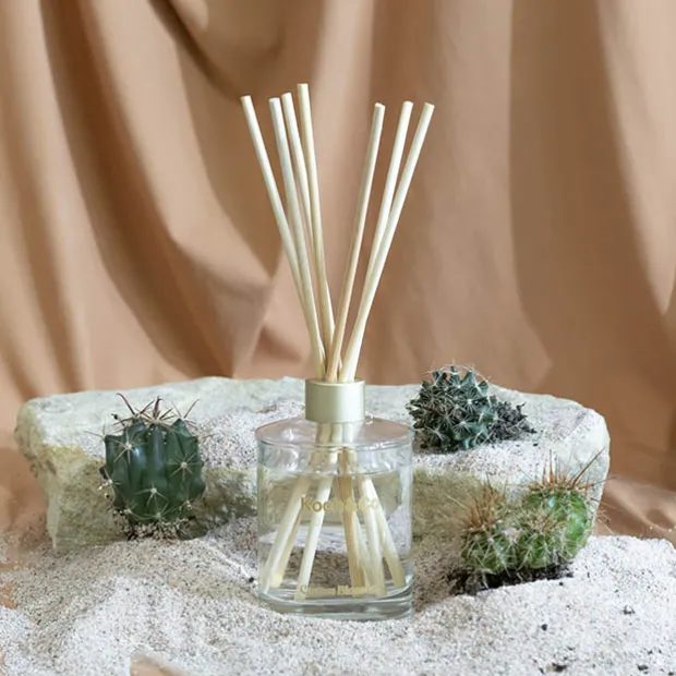 Premium Fragrance Diffuser Leisure Cactus Blossom 250ml