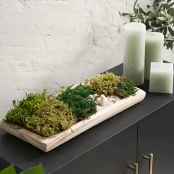 Premium Preserved Fern Moss 500g Box Green