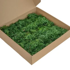 Premium Preserved Fern Moss 500g Box Green
