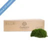 Premium Preserved Flat Moss Sheet Bulk 2.5kg Box Green
