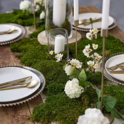 Premium Preserved Flat Moss Sheet Bulk 2.5kg Box Green