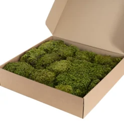 Premium Preserved Hair Moss Window Box 800g Light Green