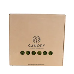 Premium Preserved Hair Moss Window Box 800g Light Green