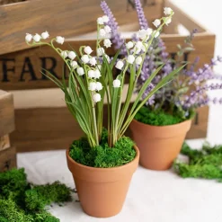 Premium Preserved Reindeer Moss Bulk 5kg Box Nature Green