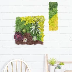 Premium Preserved Reindeer Moss Bulk 1kg Box Forest Green