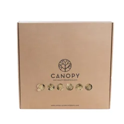 Premium Preserved Reindeer Moss Bulk 1kg Box Cream