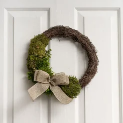 Premium Preserved Rock Moss 500g Box Green