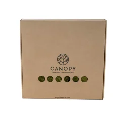 Premium Preserved Rock Moss 500g Box Green