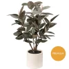 Premium Real Touch Artificial Rubber Tree Green (120cmH)