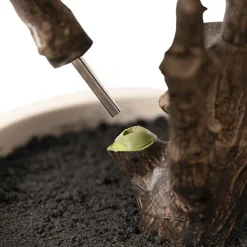 Premium Real Touch Artificial Rubber Tree Green (120cmH)