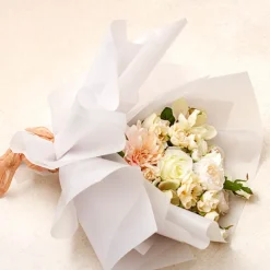 Premium Translucent Tracing Paper 93gsm White (60x85cm)Pk 50