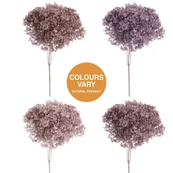 Preserved Dried Anna Hydrangea Stem Large Mauve (68cmH)