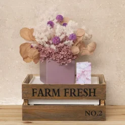 Preserved Dried Apple Leaf Honesty Bunch Nude