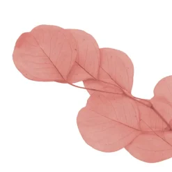Preserved Dried Apple Leaf Honesty Bunch Soft Pink