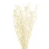 Preserved Dried Baby's Breath Bunch White (57cmH)