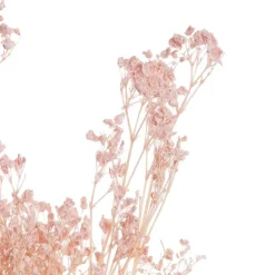 Preserved Dried Baby's Breath Bunch Soft Pink (57cmH)