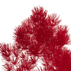 Preserved Dried Ming Fern Bunch 90g Red