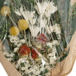 Preserved Dried Mixed Flower Arrangement Green (55cmH)