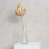 Preserved Dried Palm Spear Leaf Gold (45-50cmH)