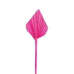 Preserved Dried Palm Spear Leaf Hot Pink (45-50cmH)
