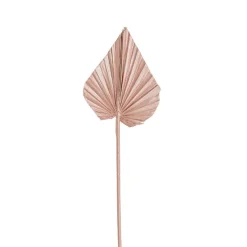 Preserved Dried Palm Spear Leaf Rose Gold (45-50cmH)