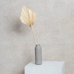 Preserved Dried Palm Spear Leaf Light Beige (45-50cmH)