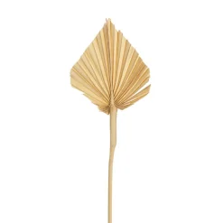 Preserved Dried Palm Spear Leaf Light Beige (45-50cmH)