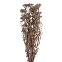 Preserved Dried Rice Flower Bunch 70g Soft Brown
