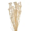 Preserved Dried Rice Flower Bunch 70g Cream
