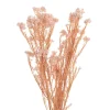 Preserved Dried Rice Flower Bunch 70g Soft Pink