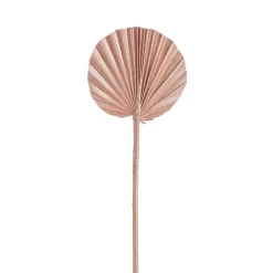 Preserved Dried Round Cut Palm Leaf Rose Gold (40-45cmH)