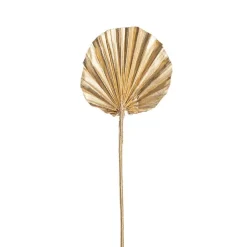 Preserved Dried Round Cut Palm Leaf Gold (40-45cmH)