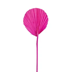 Preserved Dried Round Cut Palm Leaf Hot Pink (40-45cmH)