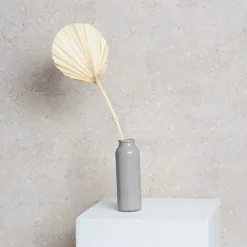 Preserved Dried Round Cut Palm Leaf Light Beige (40-45cmH)