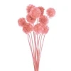 Preserved Dried Scabiosa x 10 Head Bunch Pink