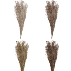 Preserved Dried Sea Lavender Bunch 100g Soft Brown