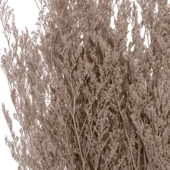 Preserved Dried Sea Lavender Bunch 100g Soft Brown