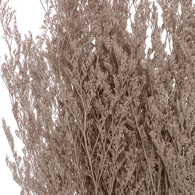 Preserved Dried Sea Lavender Bunch 100g Soft Brown