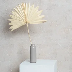 Preserved Dried Sun Cut Palm Leaf Light Beige (40-45cmH)