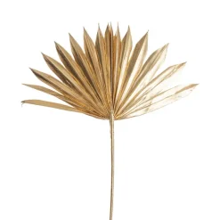 Preserved Dried Sun Cut Palm Leaf Gold (40-45cmH)