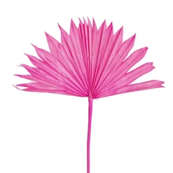 Preserved Dried Sun Cut Palm Leaf Hot Pink (40-45cmH)