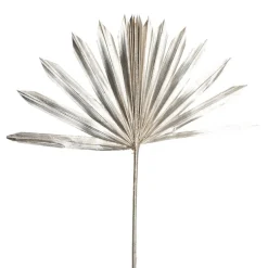 Preserved Dried Sun Cut Palm Leaf Champagne (40-45cmH)