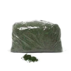 Preserved Moss Green (500gm Bag)
