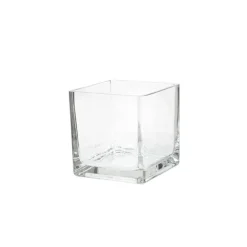 Pressed Glass Cube Vase Clear (10x10x10cmH)