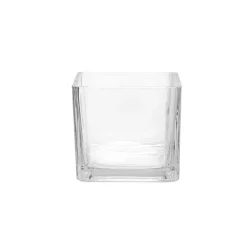 Pressed Glass Cube Vase Clear (10x10x10cmH)