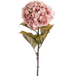 Princess Hydrangea Stem Blush Pink (106cmH)
