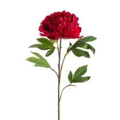 Princess Peony Red (16cmDx80cmH)