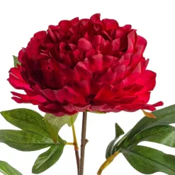 Princess Peony Red (16cmDx80cmH)