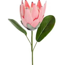 Protea Robyn Stem Soft Pink (12cmDx42cmH)