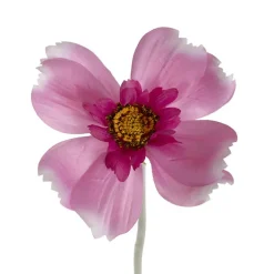 Queen Cosmos Stem Lilac (12cmDx56cmH)